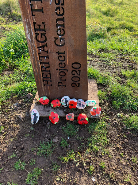 Poppies Houndsgill Viaduct